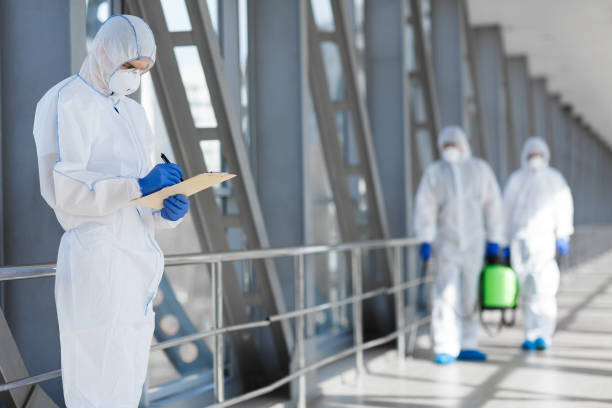 Trusted Greer, SC Mold Removal Experts