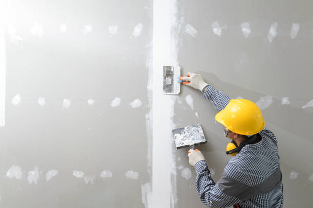 Best Mold Damage Restoration  in Greer, SC